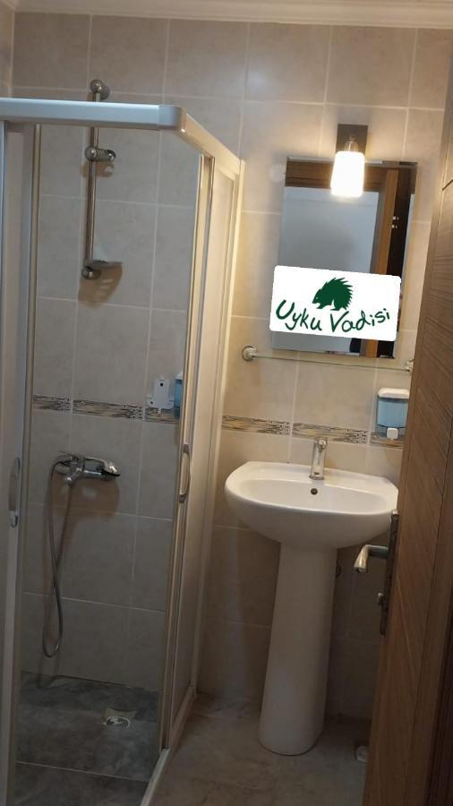 Uyku Vadisi *