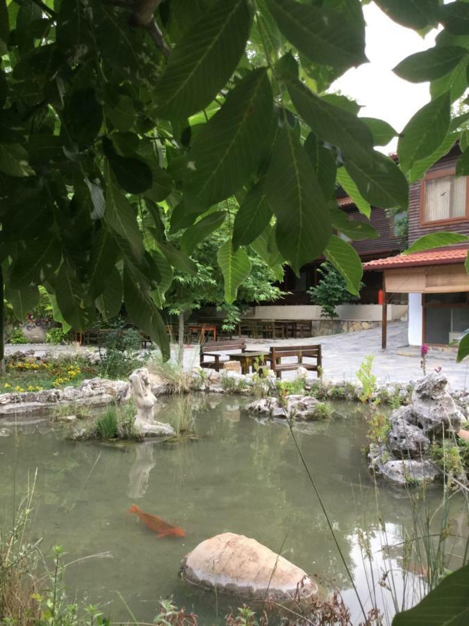 Uyku Vadisi * Agaclihuyuk